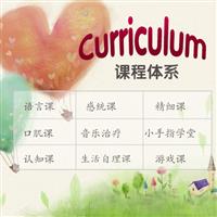 Curriculum system